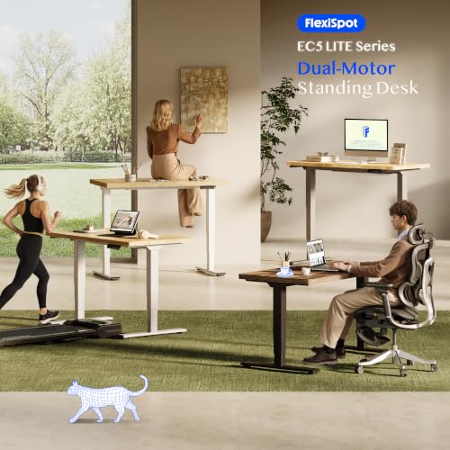FLEXISPOT Höhenverstellbarer Schreibtisch mit Dualmotor 160×80 cm – Ansicht 3