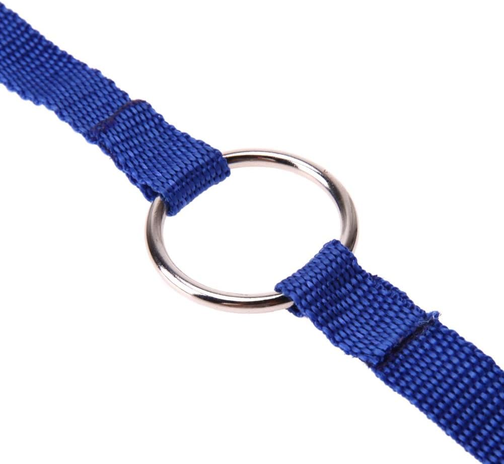 Basic Leashes 2pcs Nylon Dog Leash Double Walking Leashes Couple 2 Way V Shape Collar Lead Leashes for 2 Dogs Puppy Pet Accessories for Pet