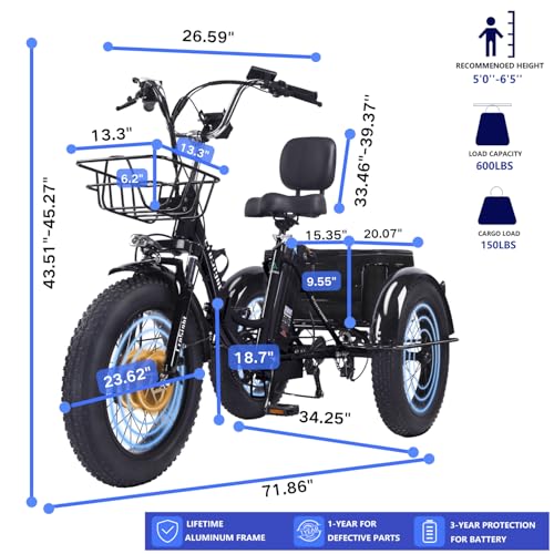 Electric Tricycle for Adults Cargo