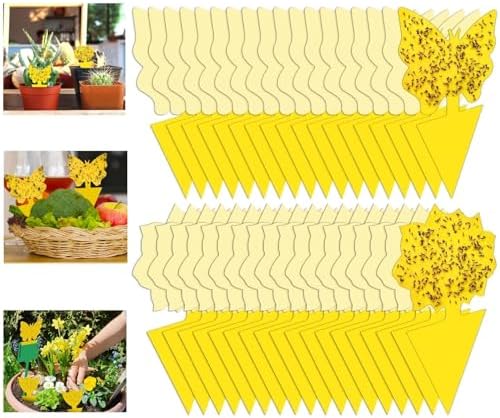 54 Pack Fruit Fly Trap for Indoor, Gnat Traps for House Indoor, F...