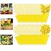 Stingmon A2 Sticky Fruit Fly and Fungus Gnat Trap Killer Indoor and Outdoor, 48 Pack