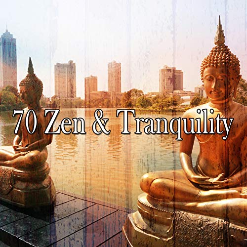 Amazon Music Unlimited 瞑想 『70 Zen & Tranquility』