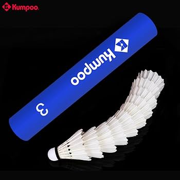 phk☆ Buy TRIUMPH Badminton Racket , Badminton Shuttle Cock