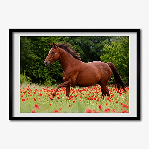 Cadre en Bois Décoratif Tulup 70x50 cm Habillage Mur Vide Cheval et Pavots