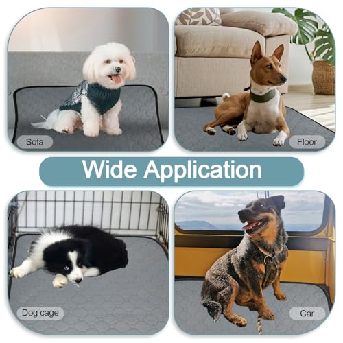 2 Stück Welpenunterlagen Waschbar, 60 × 50cm Hundedecke Wasserdicht Antirutsch, Super Saugfähig PIPI Matten für Hunde, Wiederverwendbare Hundetrainingspads, Hundematte für Boden Sofa Auto Reisen