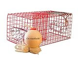 OceanBuilt Florida Medium Blue Crab Trap with 6' White Buoy Kit – 24 x 14 x 11 Recreational Blue Crab Pot – Two-Throat Saltwater Crab Trap – Includes Buoy & 30' Rope – PVC Coated Wire Fishing Trap