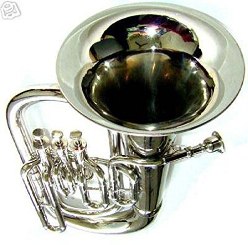 MS Bb Low Pitch Brass Musical Instrument 3 Valve Euphonium Brass Made for Intermediate Student with Cushioned Hard case