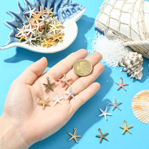 Breloques Étoiles de Mer en Boîte, Idéal Cadeau pour Passionnés DIY - 5