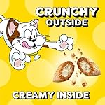 Temptations MixUps Backyard Cookout Flavor Crunchy and Soft Cat Treats, 16 oz. Tub - Image 5