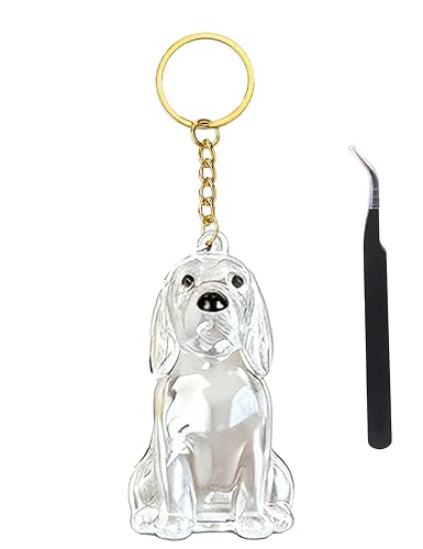 3D Clear Pet Hair Keepsake Keychain, Transparent Dog Fur Collector