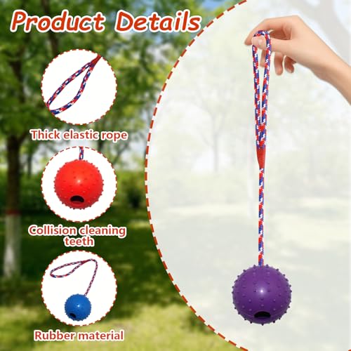 Zyluniy 5 Stück Wurfball Hund Hundespielzeug, ø 5 X 30cm Hundeball mit Schnur, Naturkautschuk Ball für Hunde, wurfspielzeug Hund für Große & Kleine Hunde Werfen