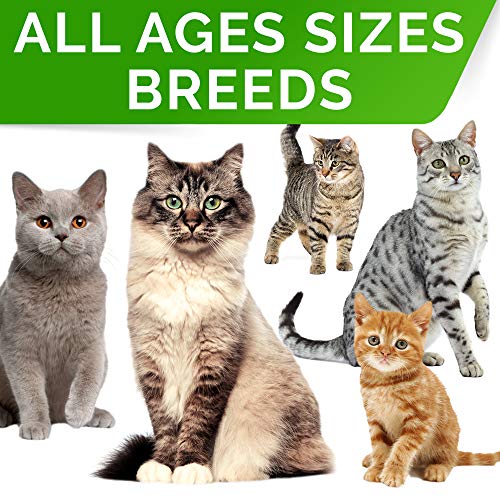 Probiotics Powder For Cats And Dogs - All Natural Supplement - Digestive Enzymes + Prebiotics - Relieves Diarrhea, Upset Stomach, Gas, Constipation, Litter Box Smell, Skin Allergy -Made In Usa- 4Oz #TOP5