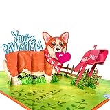 By 22CRAFT - You Are Pawsome Pop Up Birthday Cards For Women, Men, Mom, Dad, Husband, 6"x 8" Funny C