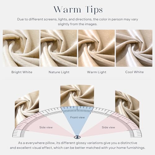 Phantoscope Pack of 2 Velvet Decorative Throw Pillow Covers Soft Solid Square Cushion Case for Couch Shiny Beige 12 x 20 inches 30 x 50 cm
