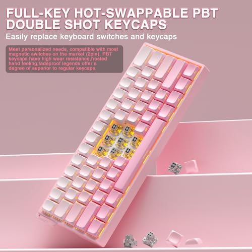 Image of Aula WIN60 HE - 60% Mechanical Gaming Keyboard Wired, Hall Effect Magnetic Switch Hot Swappable,8000 Hz Polling Rate, RGB Keyboard 60 Percent Compact Design for PC (Gradient Pink)
