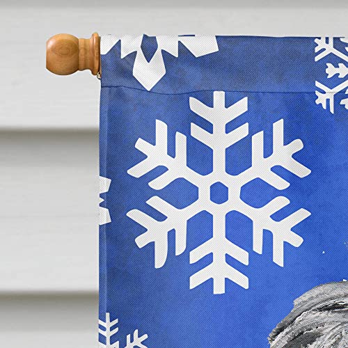Drapeau Scottish Deerhound de maison grand format imprimé pour hiver