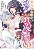 堅物騎士様の完璧な溺愛結婚計画２ (オパールCOMICS)