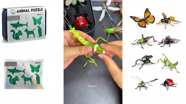 Set De Insectos Y Animales Para Armar - 8 Modelos Realistas Con 3 Niveles De Dificultad - Juguete STEM Educativo Y Creativo Para Niños - Regalo Original