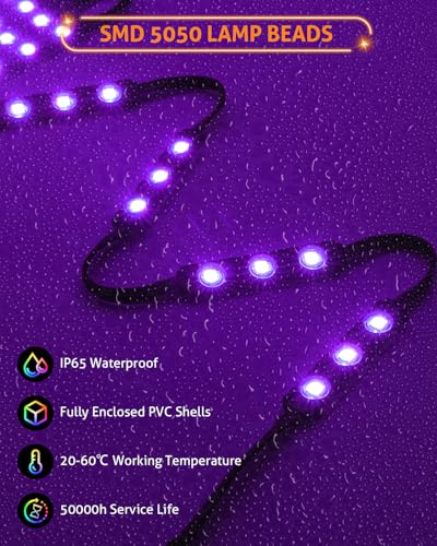 Image of WICHEMI Storefront LED Lights Window Lights LED Lights for Business 20FT