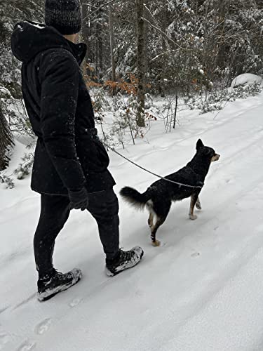 Outdoor Adventure Dog Leash Tether (Blue) - Image 5