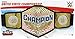 WWE Ceinture de lutte du championnat des États-Unis