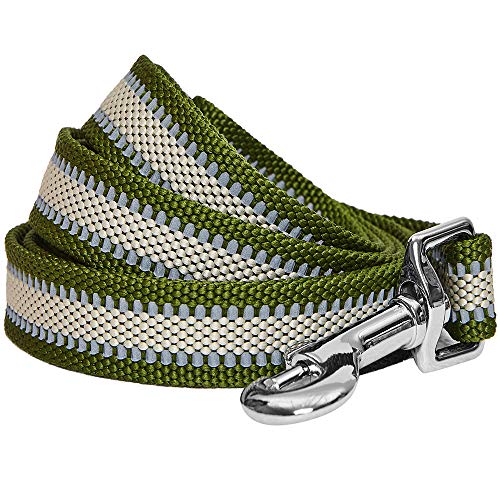 Blueberry Pet Essentials Reflective Back to Basics Dog Leash, Dark Olive, 5 ft x 3/4