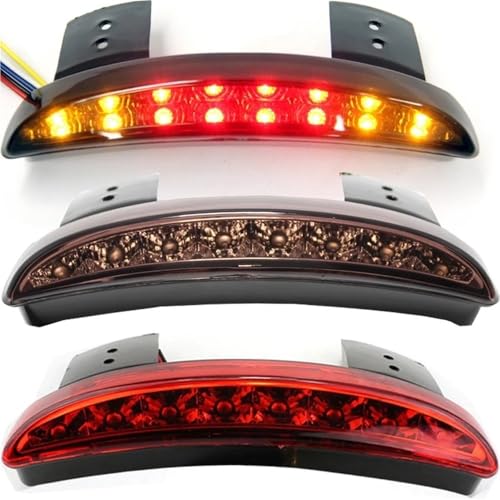 Luz trasera de motocicleta para rutas nocturnas y viajes en Sportster 883 1200 5