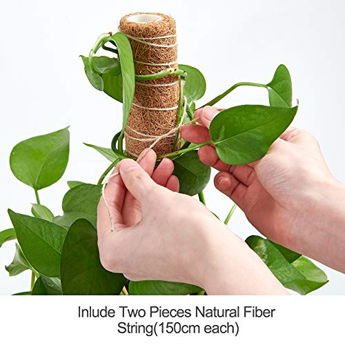 Joyhalo Moss Pole- 15.7 Inch Moss Stick For Potted Plants, 4 Pcs Plant Support For Climbing Plants Monstera, Coir Totem Pole #TOP4