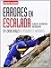 Errores En Escalada. 101 Casos Reales De Accidentes E Incidentes (Manuales (desnivel))