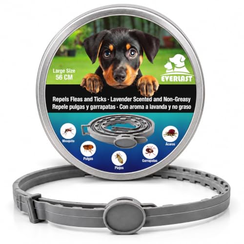 Tempotech Collar Antiparasitario para Perros Pequeños y Extrapequeños (2–8 kg) – Natural, Repele Pulgas, Garrapatas y Mosquitos hasta 8 Meses – 38 cm Ajustable e Impermeable (1, Gris, 56CM)