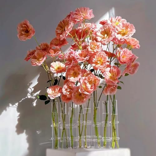 Hinged Flower Vase 8 Crystal Glass Test Tube Desktop Propagation Station for Plant Glass Tubes Hydroponic Vase for Indoor Office Home Garden Decor (8pcs)