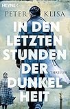  In den letzten Stunden der Dunkelheit: Roman
