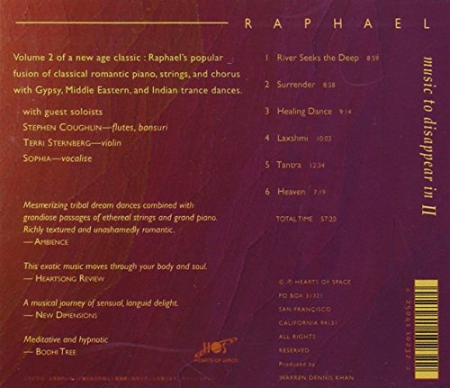 Vol. 2-Music To Disappear In