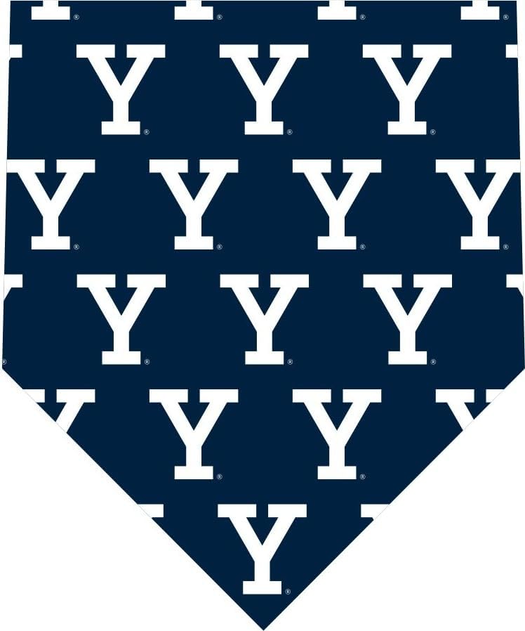 Desert Cactus Yale University Neck Tie Bulldogs 100% Polyester Necktie with Logo, Officially Licensed (Style B)
