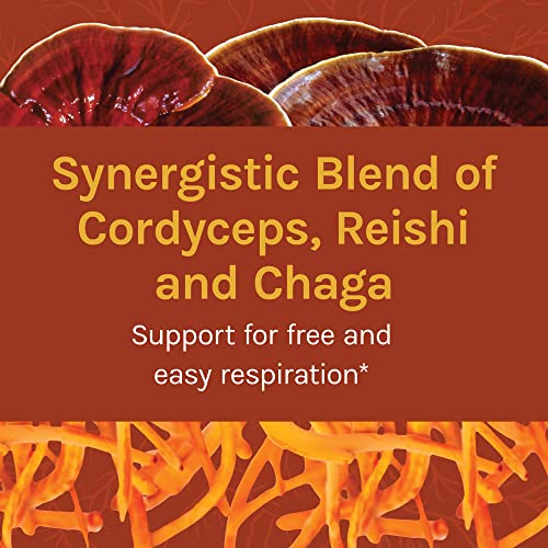 Host Defense Breathe* Powder - Immune & Respiratory Support Mushroom Supplement - Herbal Lung Health Support Supplement with Chaga, Reishi & Cordyceps - 3.5 oz (66 Servings)* - Image 4