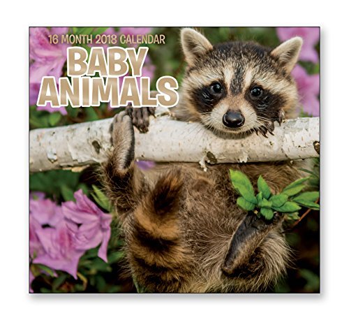 16 Month Wall Calendar 2018 - Baby Animals - Each Month Displays Full-Color Photograph. September 2017 - December 2018 Planning Calendar