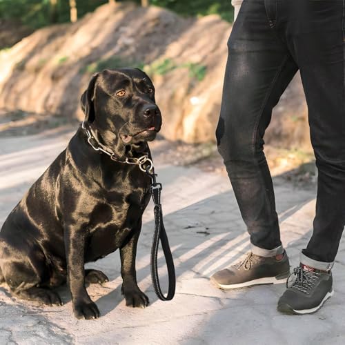 Wanmu Hundeleine Kurz, Kurzführer Hund 45 cm Übungsleine Kurzleine Hund Nylon Hundeleine für Mittlere Große Hunde