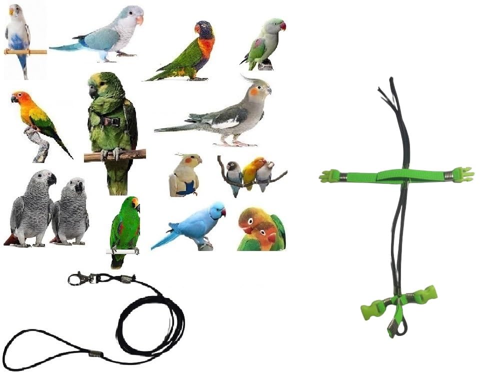 Arnés pechera verde para loros elástico anti tirones para cotorras y amazonas ajustables 1