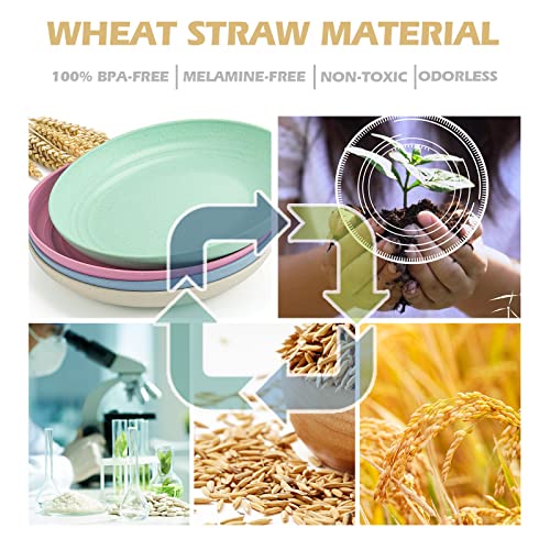 Ptnitwo Lightweight Wheat Straw Plates,Plastic Plates Reusable,Unbreakable Deep Dinner Plates, Assorted Colors Dinnerware Sets,Dishwasher Safe #TOP1