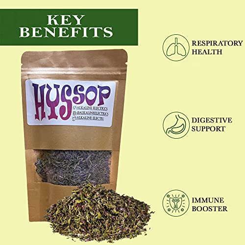 Hyssop | Organic | 1 Ounce #TOP4