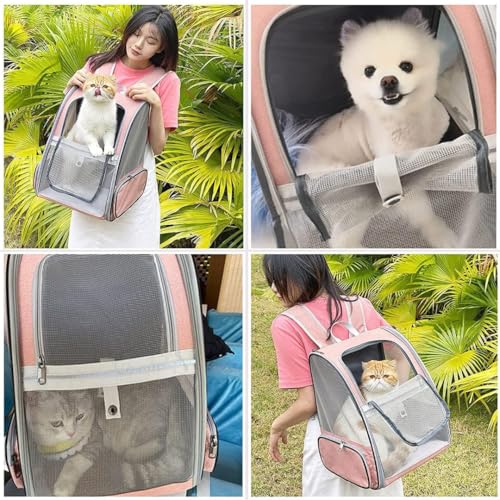 Image of Cat Backpack Carrier, Breathable Cat Carrier Pet Backpack for Kitty Small Dog Up to 15Lbs, Transparent & Foldable Pet Carrier for Travel Hiking (Expendable Pink, L)