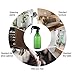 LONGWAY 10 Oz (300ML) Plastic Empty Spray Bottle | Super Fine Mist Trigger Sprayer, Refillable Spray Container - for Cleaning Solutions, Plants, Hair - BPA Free (Pack of 2) (Green)