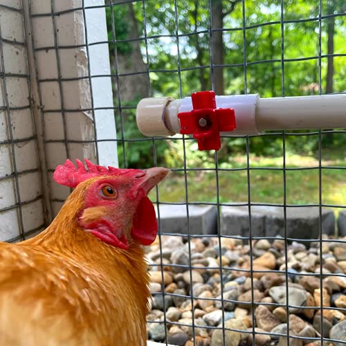 Backyard Barnyard 12 Pack Automatic Chicken Water Nipple Make Your Own Waterer Kit (Install Tools Included) Horizontal Clean Drinker Coop Or Poultry Run Bebederos Gallinas Pollos Duck Quail #TOP1