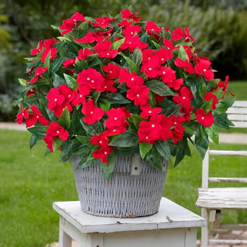 Besteek 5 Pcs Artificial Flowers for Outdoors Fake Impatiens Plants Red