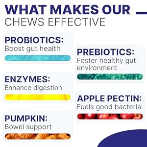   Advanced-Dog-Probiotics-Digestive-Enzymes-Gut-Health-Chews-for-Digestion-Allergy-Yeast-Itchy-Skin-Prebiotics-Fiber-Supplement-Diarrhea-Gas-Upset-Stomach-Relief-Treats-120-Chews