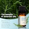 QONG Rosemary Essential Oil Blend, Rosemary Oil, Can be Used for, Hair, Skin, Nails, Aromatherapy Oil& Diffuser Essential Oils- 10ML #4