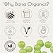 Darsa Organics Dried Amla Indian Gooseberry 4oz - Organic Amla Fruit Cut & Sifted - USDA Certified Non-GMO, Vegan, Kosher and Gluten Free - Vitamin C Rich Gooseberry for Tea, Hair Growth and Skin Immunity