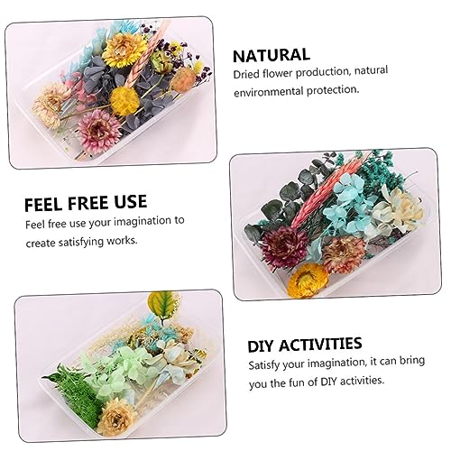 NOLITOY 1 Conjunto De Flores Secas Preservadas Faça Você Mesmo Pétalas Prensadas Flores Secas Arte D