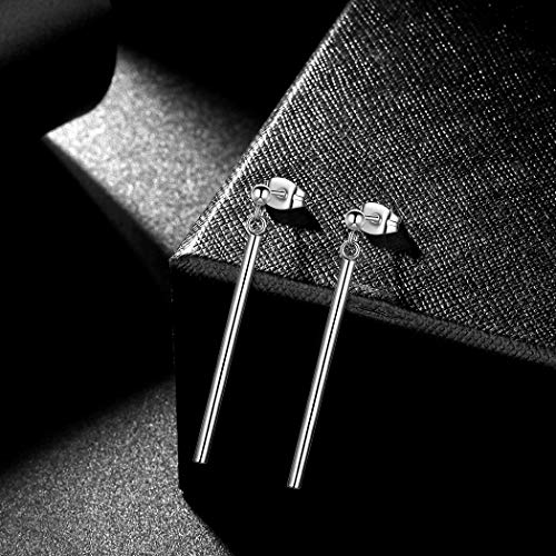 Plain Vertical Bar Dangle Earrings Women Men 316L Stainless Steel Long Bars Drop Earrings Fashion Dainty Jewelry Se0012G #TOP2