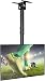 Everstone Full Motion TV Ceiling Mount for 23 to 55" TV Swivel and Tilting Bracket Fit Most Plasma LED LCD Flat Screen and Curved TVs, Up to VESA 400x400mm, HDMI Cable and Level
